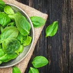 Cultivar espinacas frescas y saludables en sistemas hidropónicos