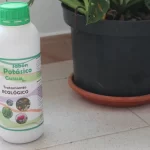 ¿Qué es el jabón potásico y para qué sirve en las plantas y cultivos?