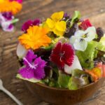 Flores comestibles en hidroponía: Una opción estética y deliciosa
